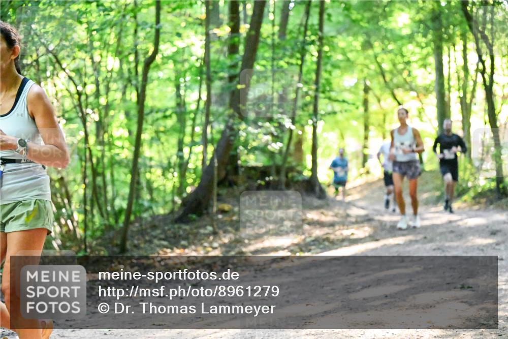 28.09.2025 - 33. Volkslauf durch das schöne Alstertal Dr. Thomas Lammeyer http://msf.ph/oto/8961279 28.09.2025 11:06:51 Laufen  meine-sportfotos.de