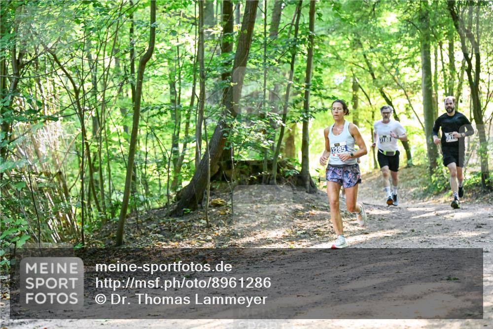 28.09.2025 - 33. Volkslauf durch das schöne Alstertal Dr. Thomas Lammeyer http://msf.ph/oto/8961286 28.09.2025 11:06:52 Laufen 3285, 3188 meine-sportfotos.de