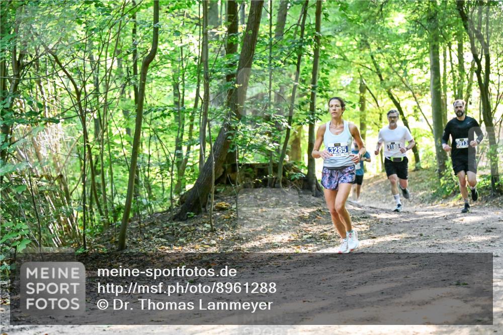 28.09.2025 - 33. Volkslauf durch das schöne Alstertal Dr. Thomas Lammeyer http://msf.ph/oto/8961288 28.09.2025 11:06:52 Laufen 13285, 3188, 3913 meine-sportfotos.de