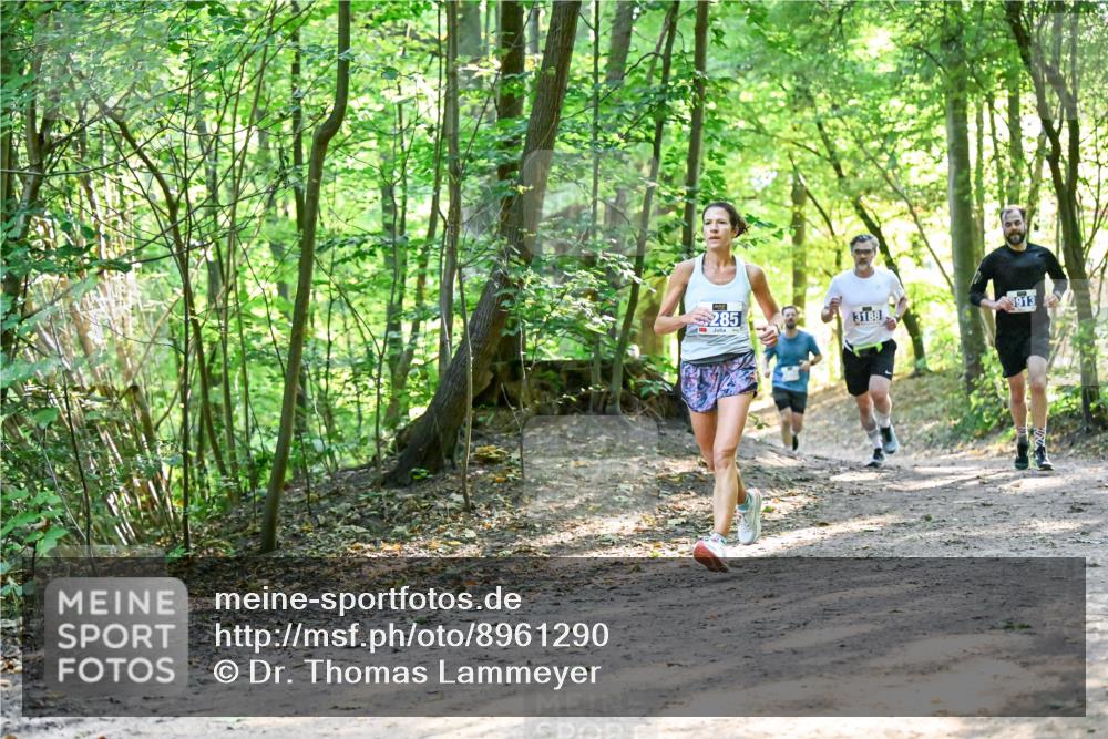28.09.2025 - 33. Volkslauf durch das schöne Alstertal Dr. Thomas Lammeyer http://msf.ph/oto/8961290 28.09.2025 11:06:52 Laufen 285, 3913, 3188 meine-sportfotos.de