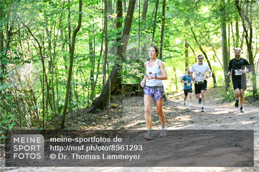 28.09.2025 - 33. Volkslauf durch das schöne Alstertal Dr. Thomas Lammeyer http://msf.ph/oto/8961293 28.09.2025 11:06:52 Laufen 3913 meine-sportfotos.de