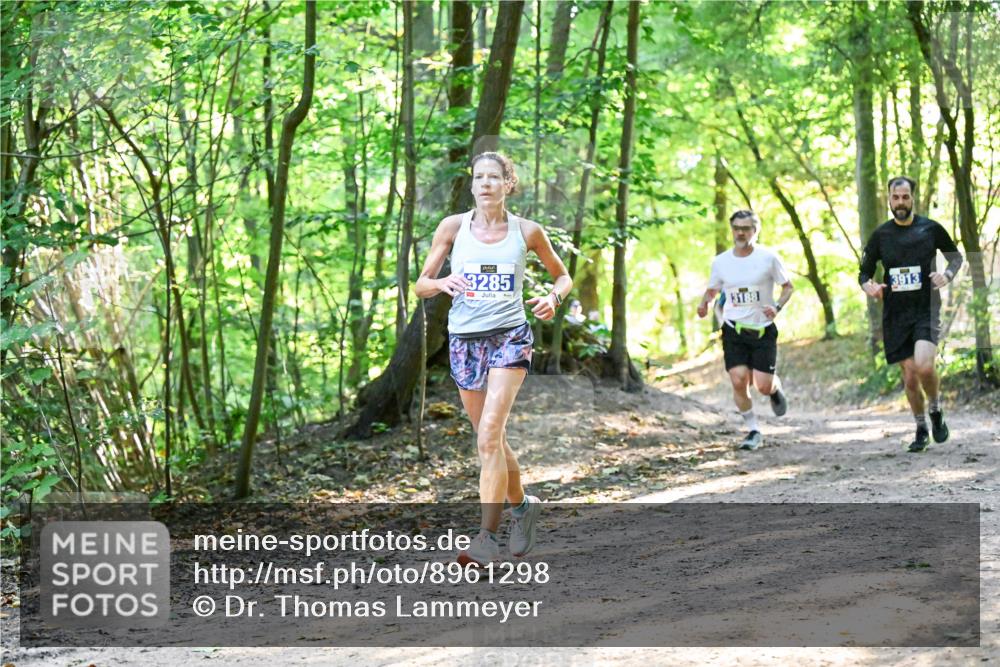 28.09.2025 - 33. Volkslauf durch das schöne Alstertal Dr. Thomas Lammeyer http://msf.ph/oto/8961298 28.09.2025 11:06:53 Laufen 3285, 3188, 3913 meine-sportfotos.de