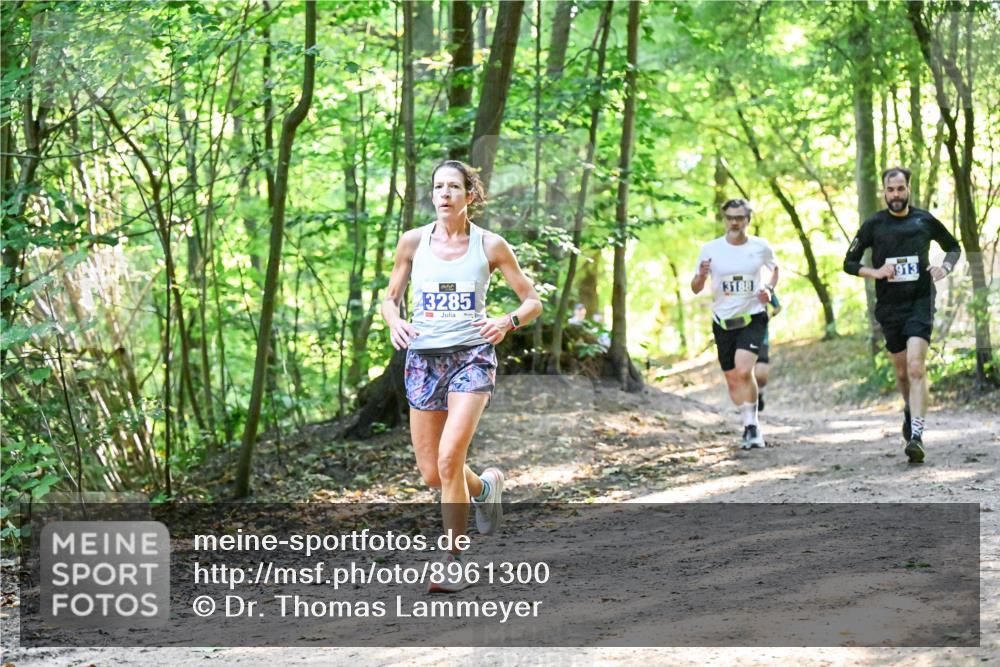 28.09.2025 - 33. Volkslauf durch das schöne Alstertal Dr. Thomas Lammeyer http://msf.ph/oto/8961300 28.09.2025 11:06:53 Laufen 3285, 3188, 913 meine-sportfotos.de