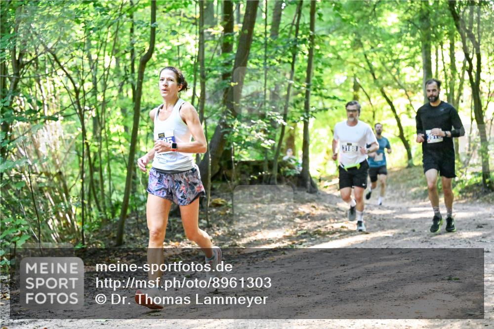 28.09.2025 - 33. Volkslauf durch das schöne Alstertal Dr. Thomas Lammeyer http://msf.ph/oto/8961303 28.09.2025 11:06:53 Laufen  meine-sportfotos.de