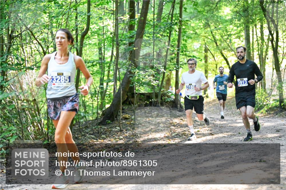 28.09.2025 - 33. Volkslauf durch das schöne Alstertal Dr. Thomas Lammeyer http://msf.ph/oto/8961305 28.09.2025 11:06:53 Laufen 3285, 3188, 3913 meine-sportfotos.de