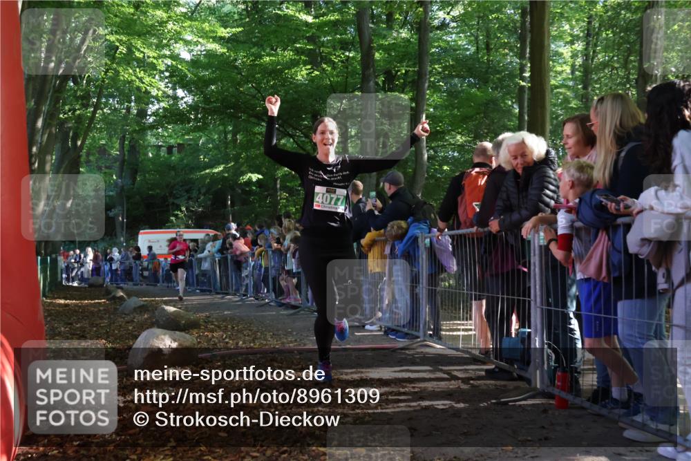 28.09.2025 - 33. Volkslauf durch das schöne Alstertal Strokosch-Dieckow http://msf.ph/oto/8961309 28.09.2025 10:53:39 Ziel 4039, 4077, 4923 meine-sportfotos.de