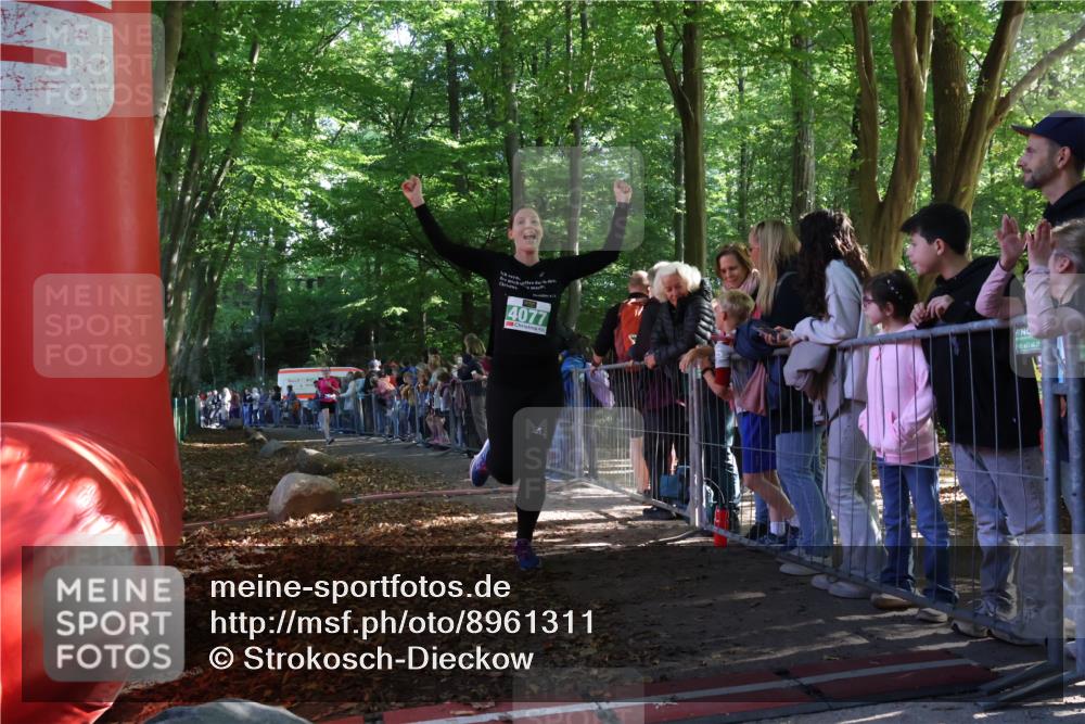 28.09.2025 - 33. Volkslauf durch das schöne Alstertal Strokosch-Dieckow http://msf.ph/oto/8961311 28.09.2025 10:53:39 Ziel 4039, 4077, 4923 meine-sportfotos.de
