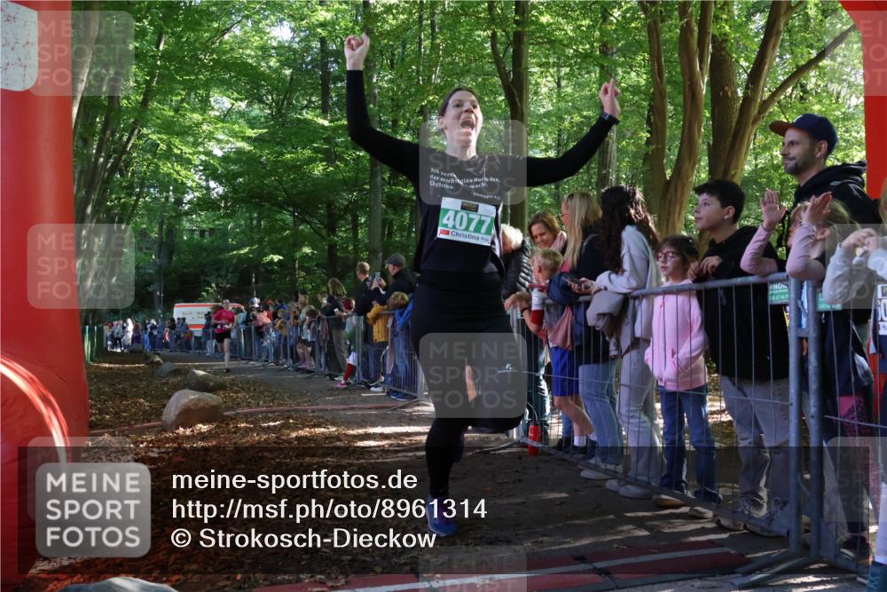 28.09.2025 - 33. Volkslauf durch das schöne Alstertal Strokosch-Dieckow http://msf.ph/oto/8961314 28.09.2025 10:53:40 Ziel 4039, 4077, 4923 meine-sportfotos.de