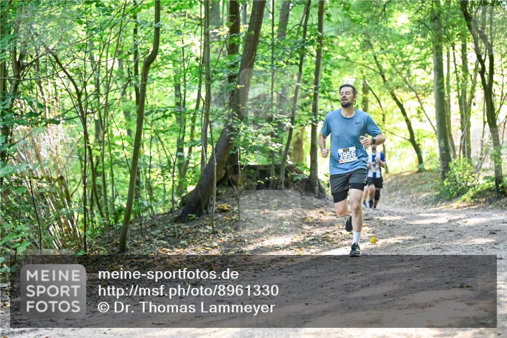 28.09.2025 - 33. Volkslauf durch das schöne Alstertal Dr. Thomas Lammeyer http://msf.ph/oto/8961330 28.09.2025 11:06:56 Laufen 3956 meine-sportfotos.de