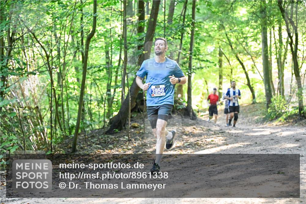 28.09.2025 - 33. Volkslauf durch das schöne Alstertal Dr. Thomas Lammeyer http://msf.ph/oto/8961338 28.09.2025 11:06:57 Laufen 3956 meine-sportfotos.de