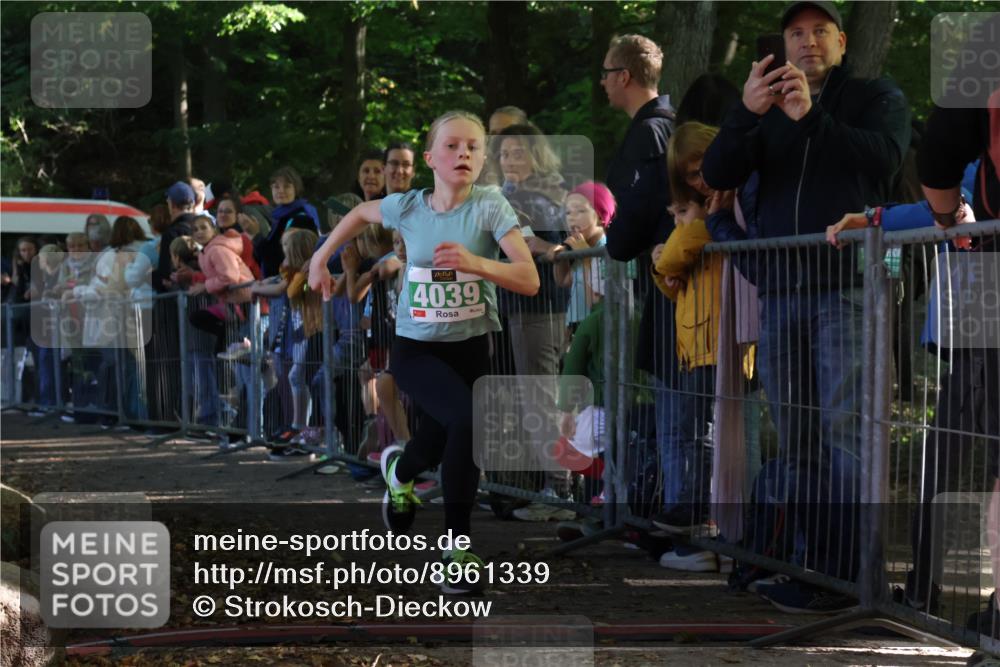 28.09.2025 - 33. Volkslauf durch das schöne Alstertal Strokosch-Dieckow http://msf.ph/oto/8961339 28.09.2025 10:53:46 Ziel 4039, 4115 meine-sportfotos.de