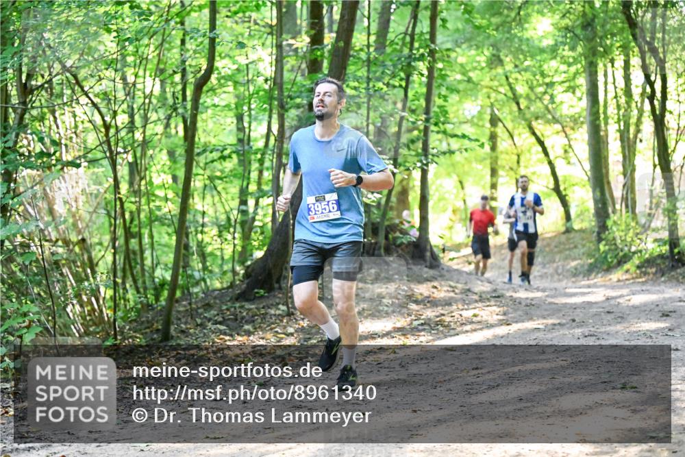 28.09.2025 - 33. Volkslauf durch das schöne Alstertal Dr. Thomas Lammeyer http://msf.ph/oto/8961340 28.09.2025 11:06:57 Laufen 3956 meine-sportfotos.de