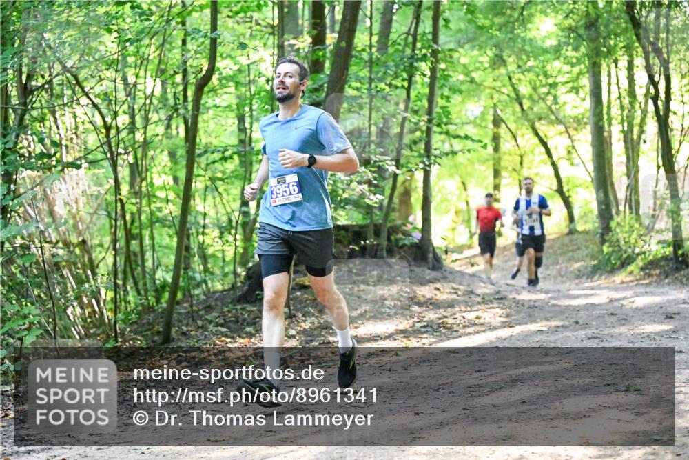 28.09.2025 - 33. Volkslauf durch das schöne Alstertal Dr. Thomas Lammeyer http://msf.ph/oto/8961341 28.09.2025 11:06:57 Laufen 3956 meine-sportfotos.de