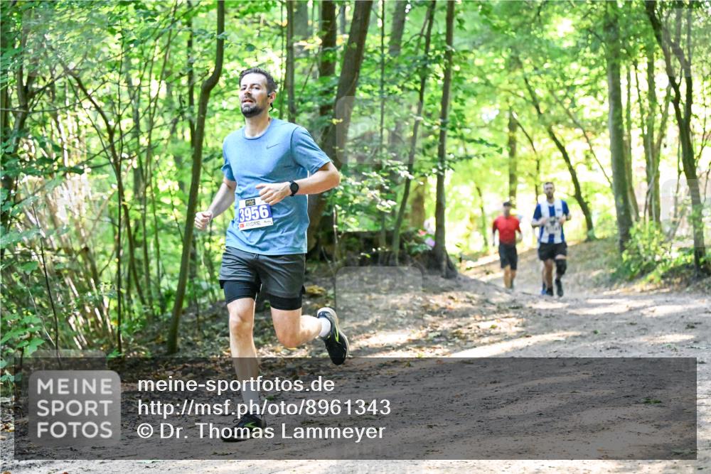 28.09.2025 - 33. Volkslauf durch das schöne Alstertal Dr. Thomas Lammeyer http://msf.ph/oto/8961343 28.09.2025 11:06:57 Laufen 3956 meine-sportfotos.de