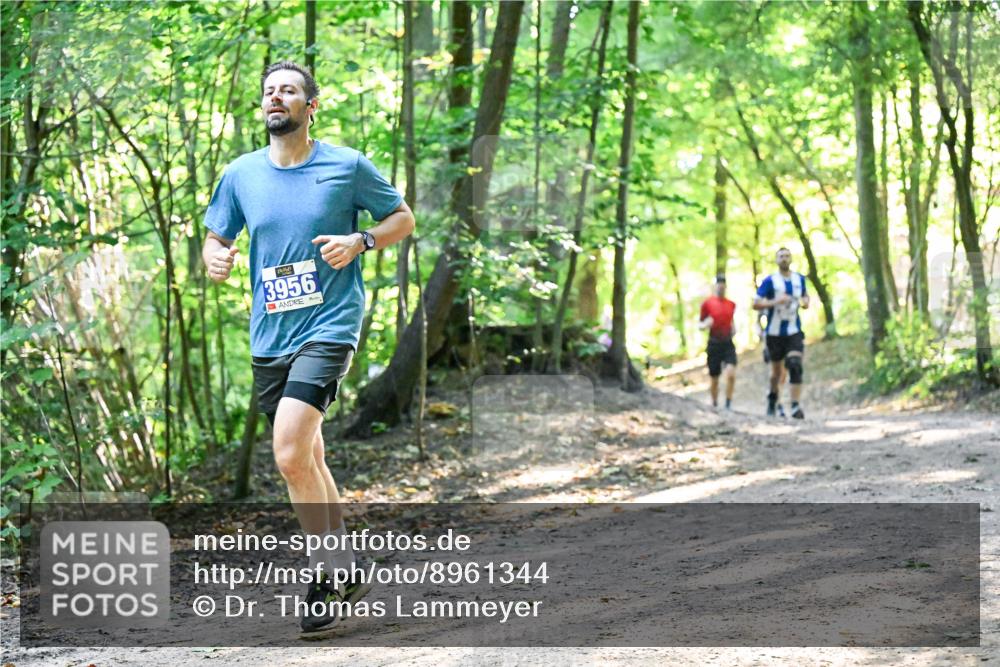 28.09.2025 - 33. Volkslauf durch das schöne Alstertal Dr. Thomas Lammeyer http://msf.ph/oto/8961344 28.09.2025 11:06:57 Laufen 3956 meine-sportfotos.de