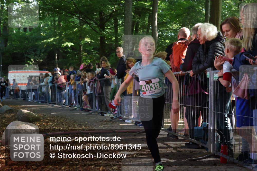 28.09.2025 - 33. Volkslauf durch das schöne Alstertal Strokosch-Dieckow http://msf.ph/oto/8961345 28.09.2025 10:53:47 Ziel 4039, 4115 meine-sportfotos.de