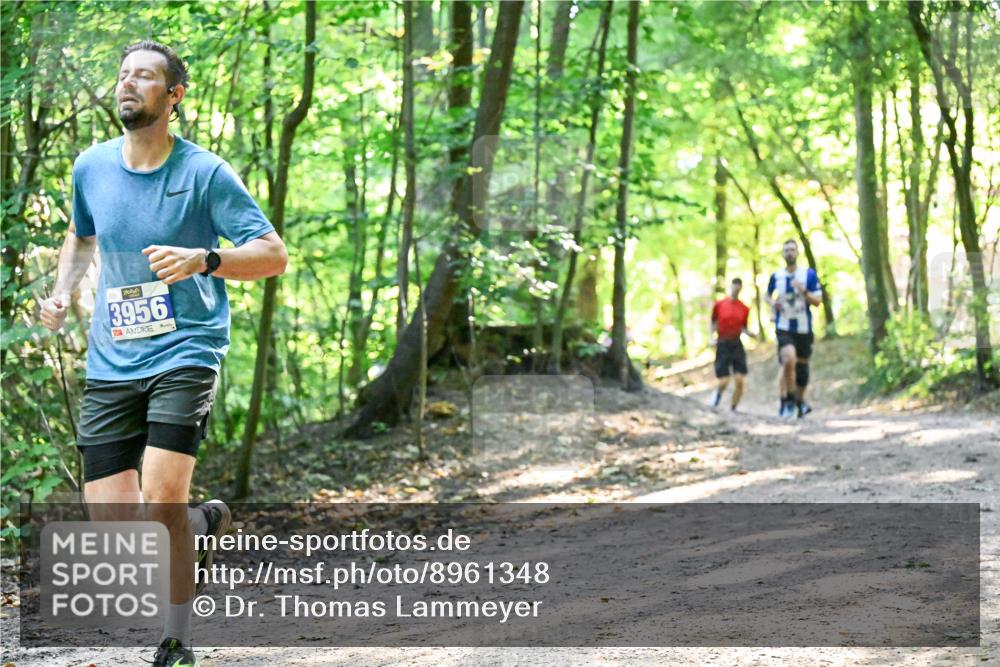 28.09.2025 - 33. Volkslauf durch das schöne Alstertal Dr. Thomas Lammeyer http://msf.ph/oto/8961348 28.09.2025 11:06:58 Laufen 3956 meine-sportfotos.de