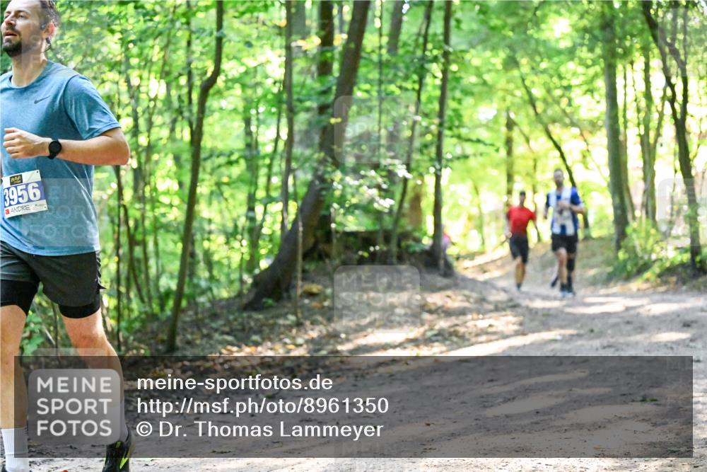 28.09.2025 - 33. Volkslauf durch das schöne Alstertal Dr. Thomas Lammeyer http://msf.ph/oto/8961350 28.09.2025 11:06:58 Laufen 3956 meine-sportfotos.de