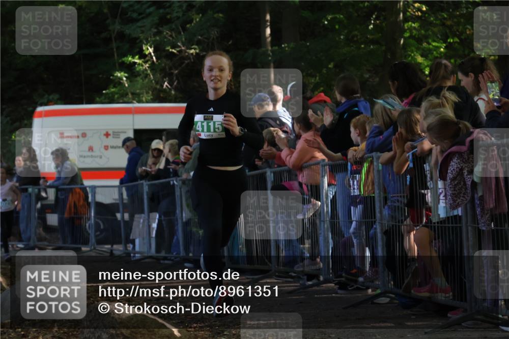 28.09.2025 - 33. Volkslauf durch das schöne Alstertal Strokosch-Dieckow http://msf.ph/oto/8961351 28.09.2025 10:53:51 Ziel 4025, 4115 meine-sportfotos.de