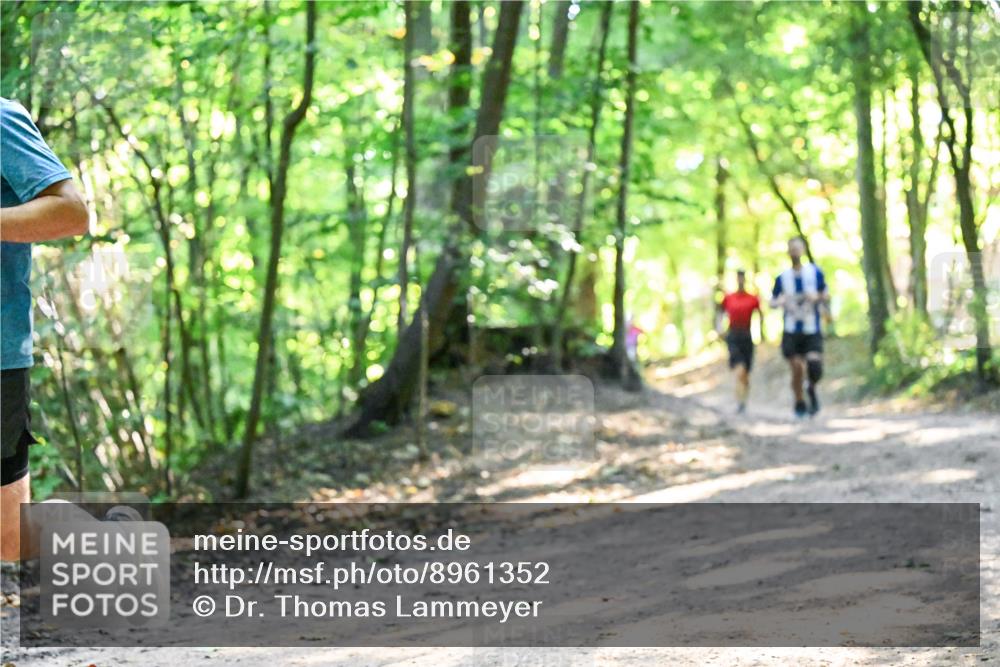 28.09.2025 - 33. Volkslauf durch das schöne Alstertal Dr. Thomas Lammeyer http://msf.ph/oto/8961352 28.09.2025 11:06:58 Laufen  meine-sportfotos.de