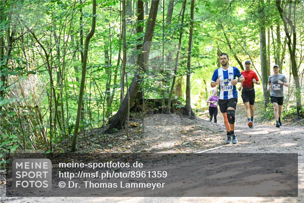 28.09.2025 - 33. Volkslauf durch das schöne Alstertal Dr. Thomas Lammeyer http://msf.ph/oto/8961359 28.09.2025 11:07:00 Laufen 24, 3071, 3287 meine-sportfotos.de