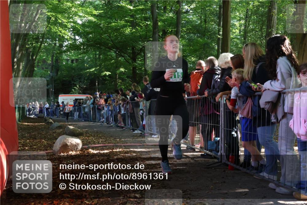 28.09.2025 - 33. Volkslauf durch das schöne Alstertal Strokosch-Dieckow http://msf.ph/oto/8961361 28.09.2025 10:53:53 Ziel 4025, 4115 meine-sportfotos.de
