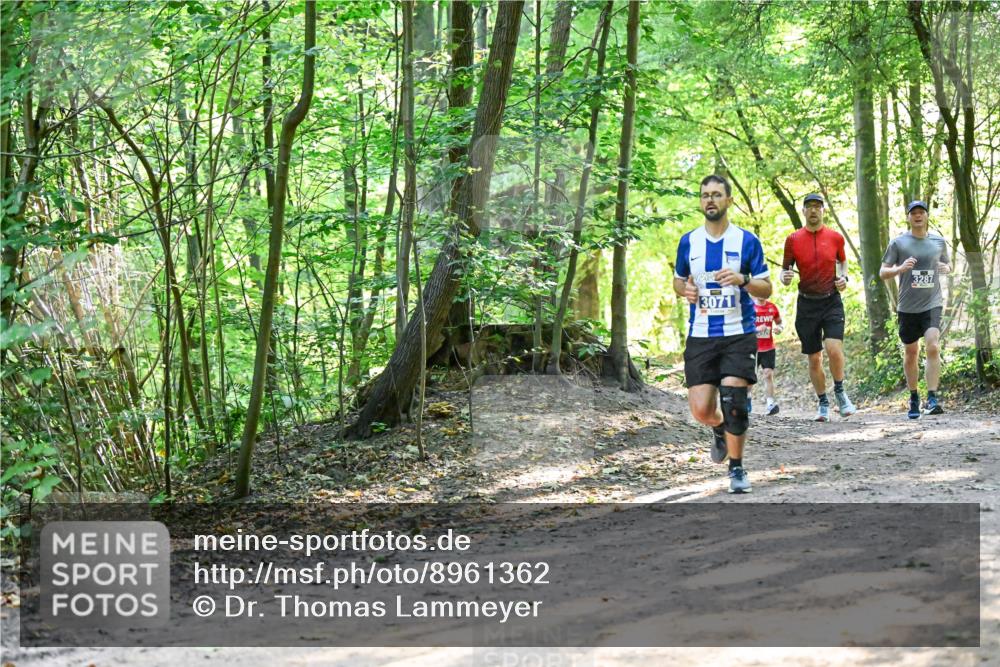 28.09.2025 - 33. Volkslauf durch das schöne Alstertal Dr. Thomas Lammeyer http://msf.ph/oto/8961362 28.09.2025 11:07:00 Laufen 3071, 3287 meine-sportfotos.de