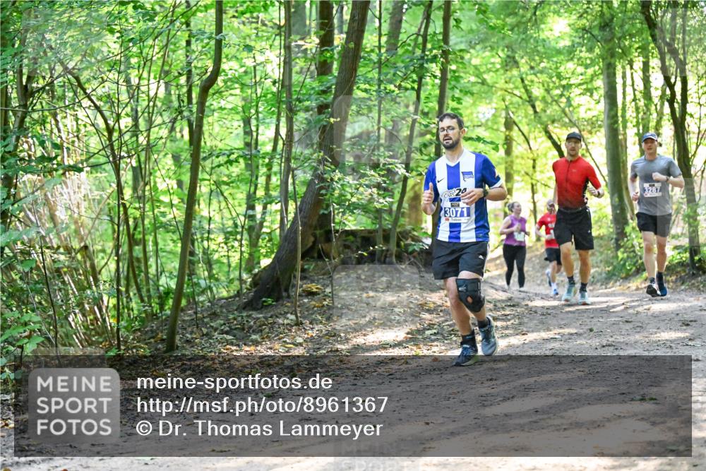 28.09.2025 - 33. Volkslauf durch das schöne Alstertal Dr. Thomas Lammeyer http://msf.ph/oto/8961367 28.09.2025 11:07:01 Laufen 3287, 3071 meine-sportfotos.de