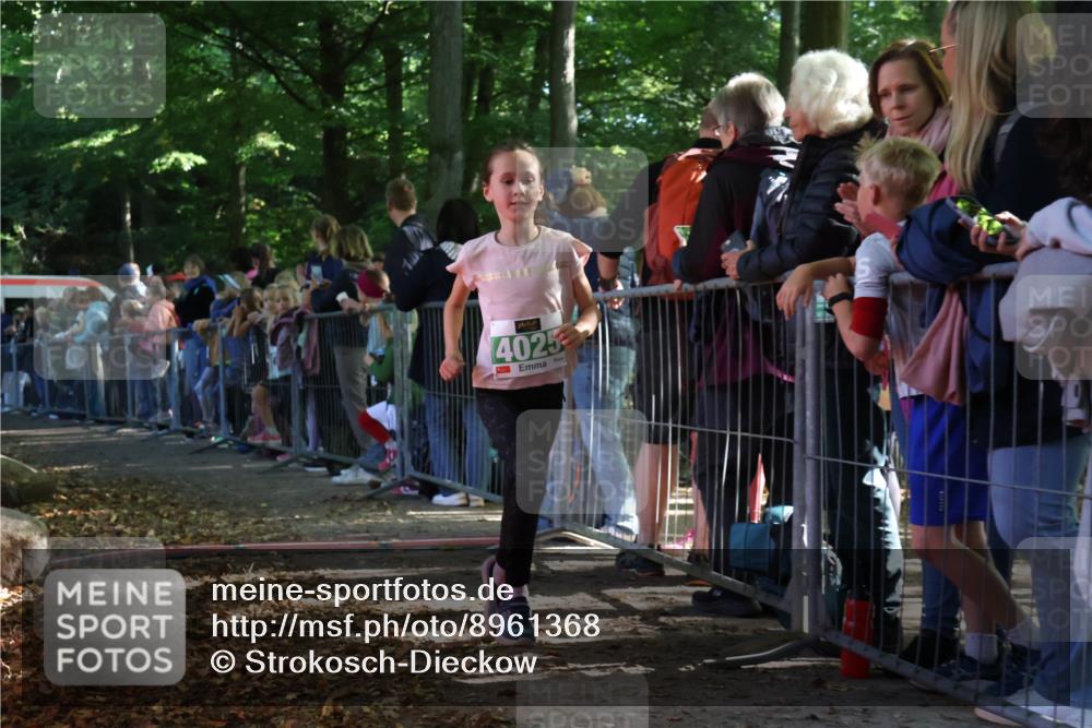 28.09.2025 - 33. Volkslauf durch das schöne Alstertal Strokosch-Dieckow http://msf.ph/oto/8961368 28.09.2025 10:53:58 Ziel 4025 meine-sportfotos.de