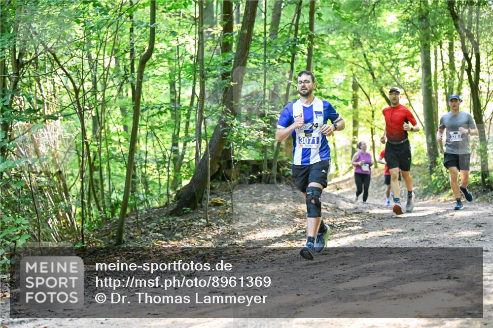 28.09.2025 - 33. Volkslauf durch das schöne Alstertal Dr. Thomas Lammeyer http://msf.ph/oto/8961369 28.09.2025 11:07:01 Laufen 24, 3287, 3071 meine-sportfotos.de