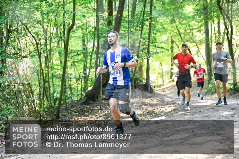 28.09.2025 - 33. Volkslauf durch das schöne Alstertal Dr. Thomas Lammeyer http://msf.ph/oto/8961377 28.09.2025 11:07:01 Laufen 3071, 3287 meine-sportfotos.de