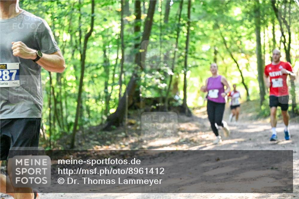 28.09.2025 - 33. Volkslauf durch das schöne Alstertal Dr. Thomas Lammeyer http://msf.ph/oto/8961412 28.09.2025 11:07:05 Laufen 287 meine-sportfotos.de
