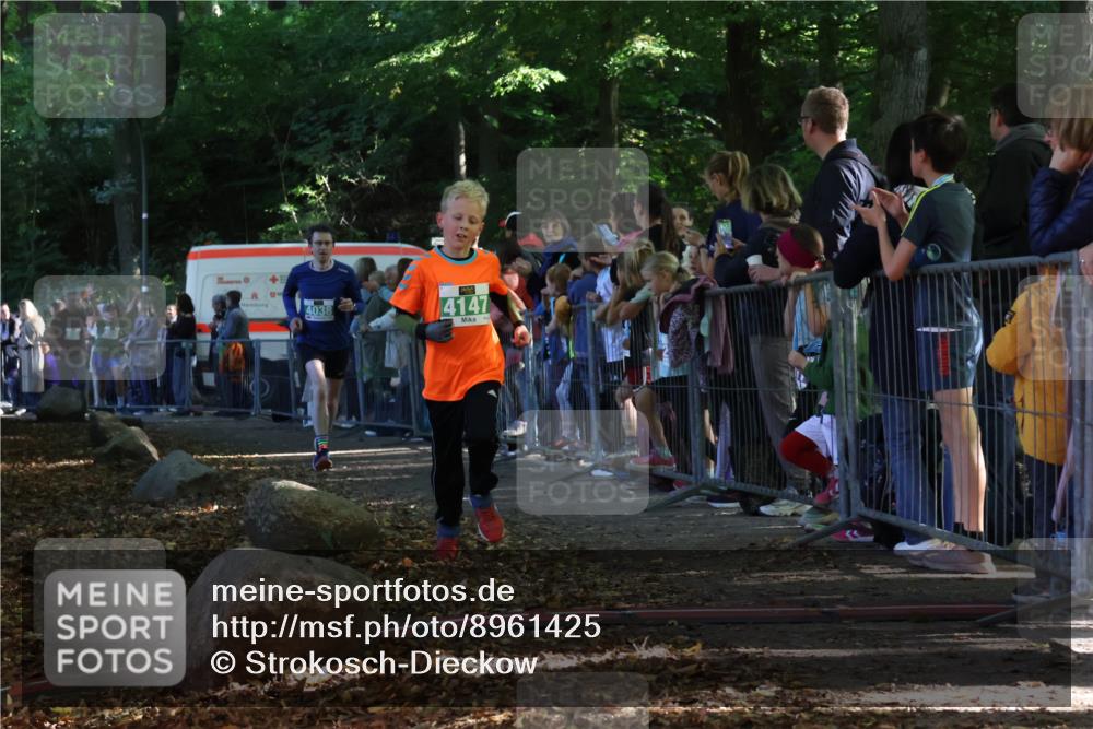 28.09.2025 - 33. Volkslauf durch das schöne Alstertal Strokosch-Dieckow http://msf.ph/oto/8961425 28.09.2025 10:54:48 Ziel 4034, 4035, 4038, 4147, 4157 meine-sportfotos.de