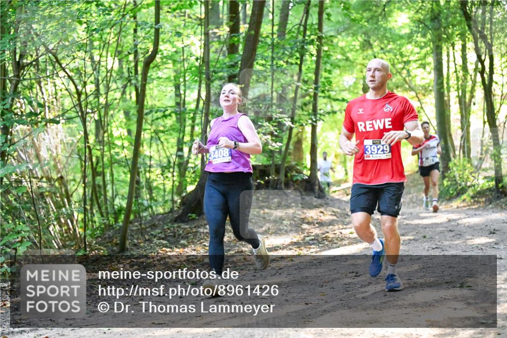 28.09.2025 - 33. Volkslauf durch das schöne Alstertal Dr. Thomas Lammeyer http://msf.ph/oto/8961426 28.09.2025 11:07:06 Laufen 3408, 3929 meine-sportfotos.de