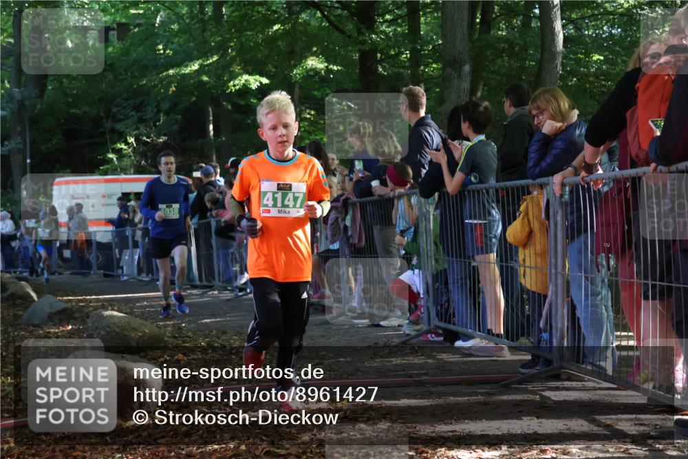 28.09.2025 - 33. Volkslauf durch das schöne Alstertal Strokosch-Dieckow http://msf.ph/oto/8961427 28.09.2025 10:54:49 Ziel 4034, 4035, 4038, 4147, 4155, 4157 meine-sportfotos.de