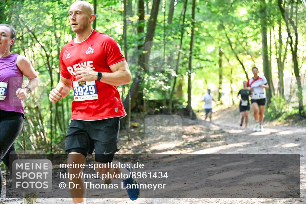 28.09.2025 - 33. Volkslauf durch das schöne Alstertal Dr. Thomas Lammeyer http://msf.ph/oto/8961434 28.09.2025 11:07:07 Laufen 3929 meine-sportfotos.de