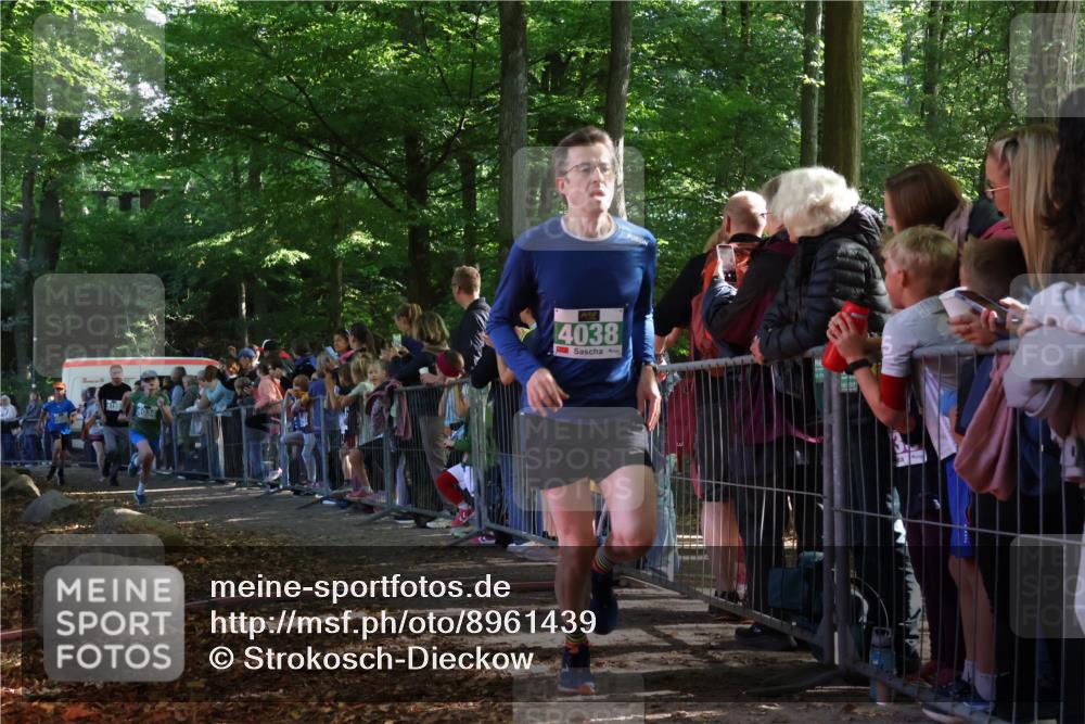 28.09.2025 - 33. Volkslauf durch das schöne Alstertal Strokosch-Dieckow http://msf.ph/oto/8961439 28.09.2025 10:54:52 Ziel 4034, 4035, 4038, 4155, 4157 meine-sportfotos.de
