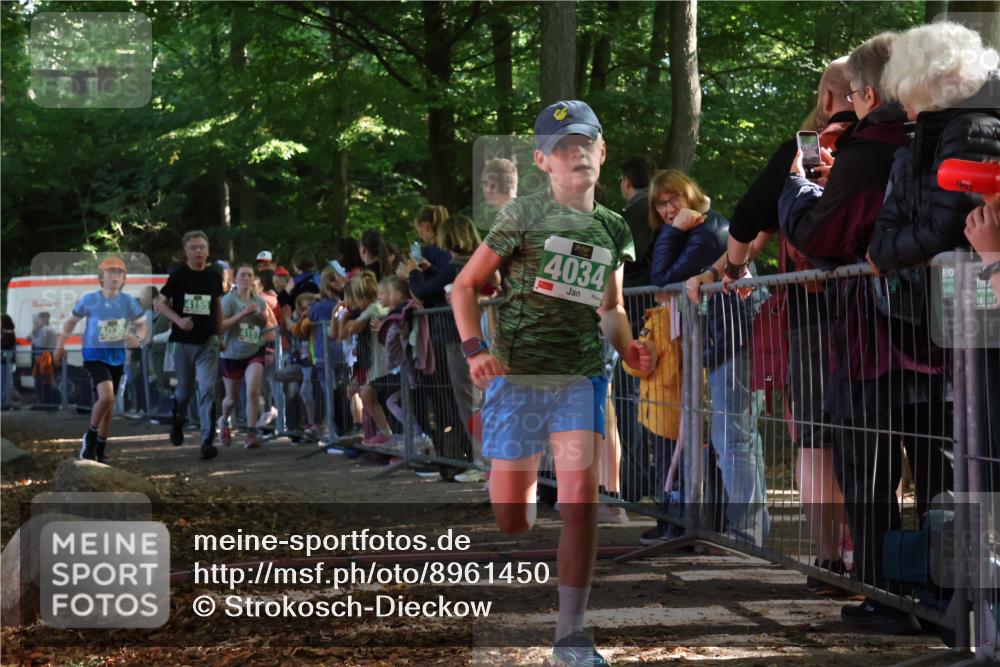 28.09.2025 - 33. Volkslauf durch das schöne Alstertal Strokosch-Dieckow http://msf.ph/oto/8961450 28.09.2025 10:54:54 Ziel 4034, 4035, 4047, 4155, 4157, 4188 meine-sportfotos.de