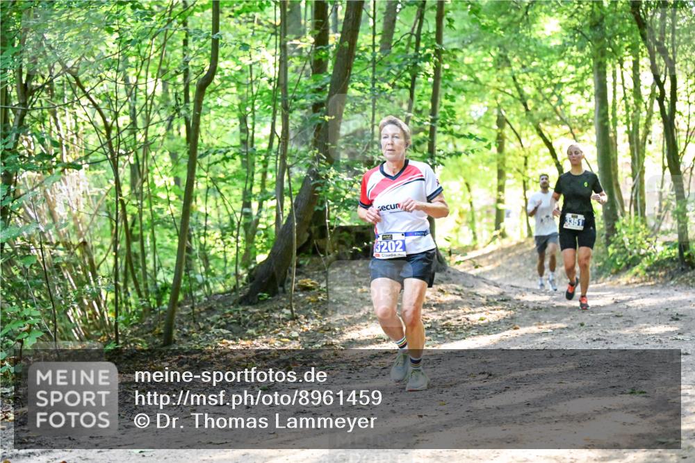 28.09.2025 - 33. Volkslauf durch das schöne Alstertal Dr. Thomas Lammeyer http://msf.ph/oto/8961459 28.09.2025 11:07:09 Laufen 3202, 3351 meine-sportfotos.de