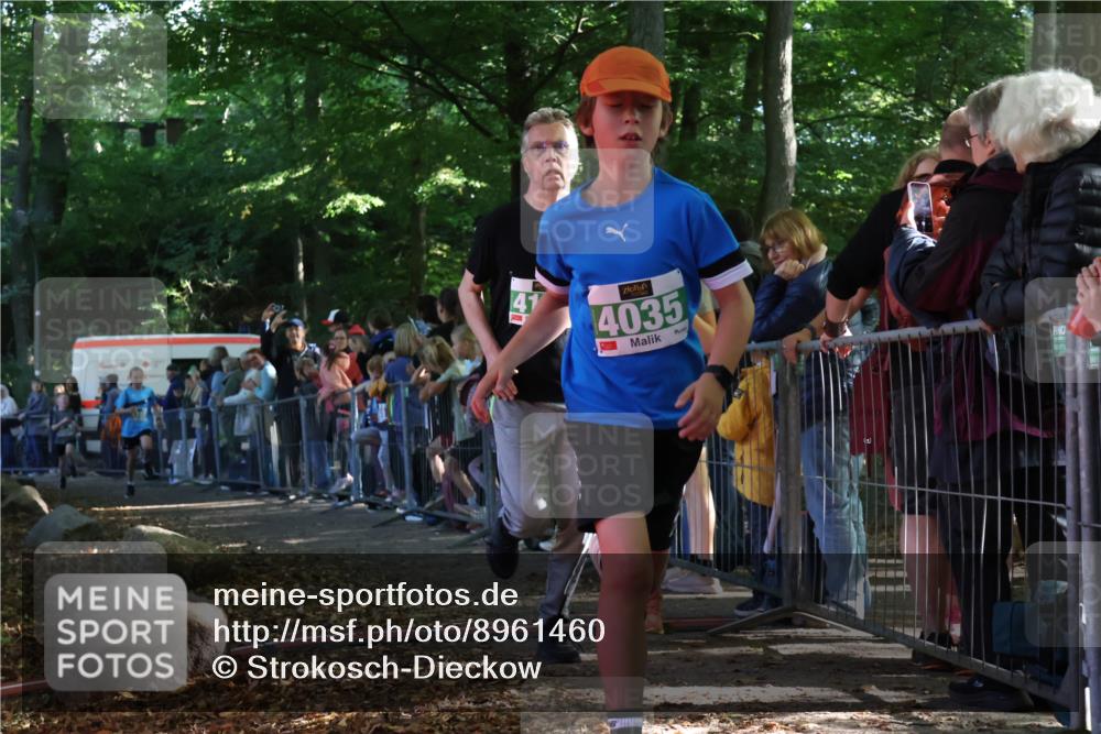 28.09.2025 - 33. Volkslauf durch das schöne Alstertal Strokosch-Dieckow http://msf.ph/oto/8961460 28.09.2025 10:54:57 Ziel 4035, 4047, 4155, 4157, 4188 meine-sportfotos.de