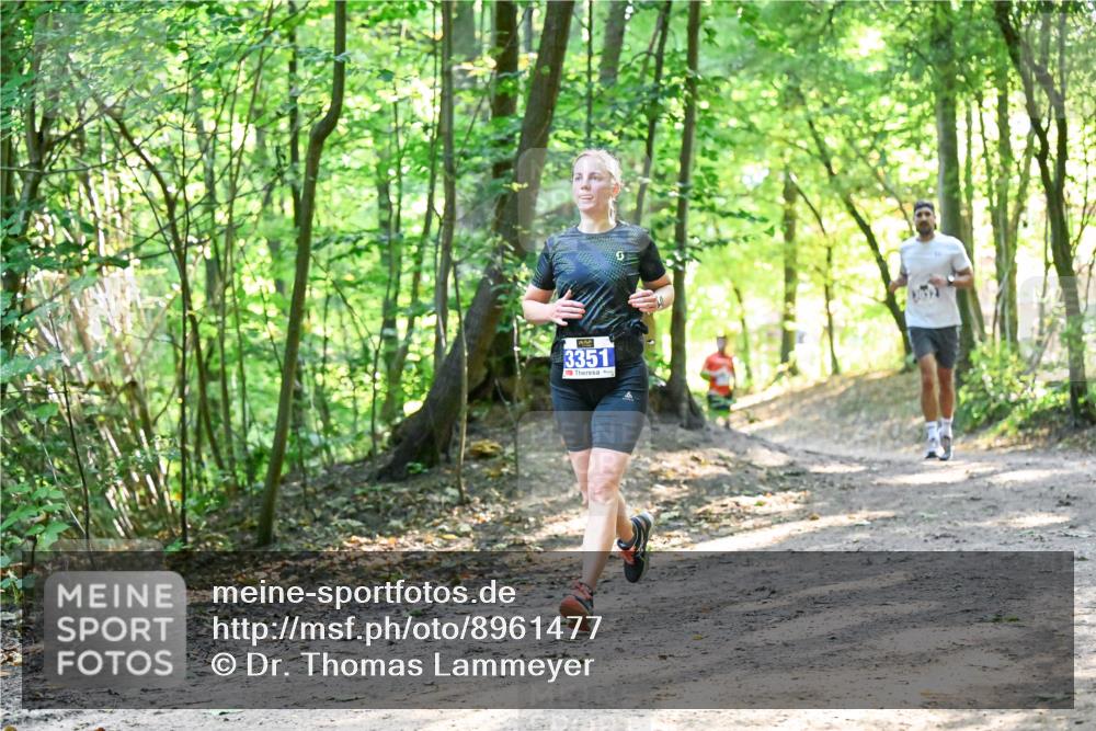 28.09.2025 - 33. Volkslauf durch das schöne Alstertal Dr. Thomas Lammeyer http://msf.ph/oto/8961477 28.09.2025 11:07:11 Laufen 3351 meine-sportfotos.de