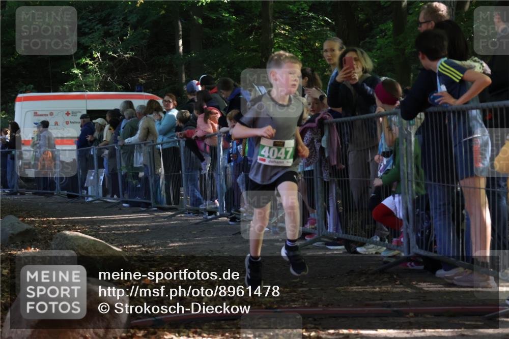 28.09.2025 - 33. Volkslauf durch das schöne Alstertal Strokosch-Dieckow http://msf.ph/oto/8961478 28.09.2025 10:55:03 Ziel 4040, 4047, 4111, 4188 meine-sportfotos.de