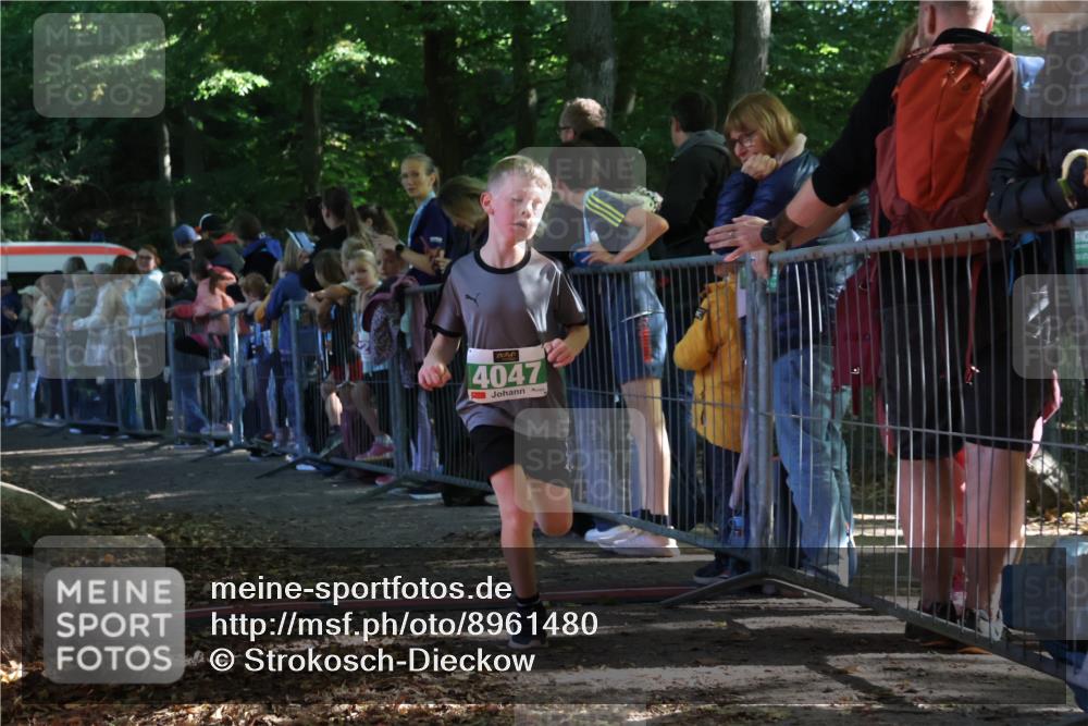 28.09.2025 - 33. Volkslauf durch das schöne Alstertal Strokosch-Dieckow http://msf.ph/oto/8961480 28.09.2025 10:55:03 Ziel 4040, 4047, 4111, 4188 meine-sportfotos.de