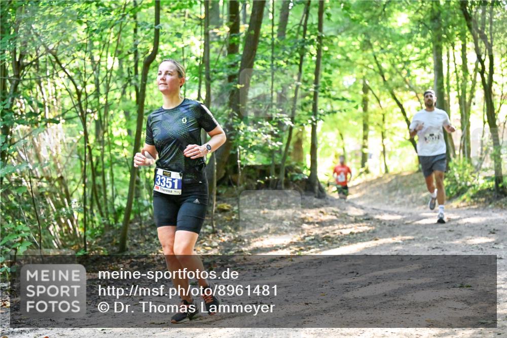 28.09.2025 - 33. Volkslauf durch das schöne Alstertal Dr. Thomas Lammeyer http://msf.ph/oto/8961481 28.09.2025 11:07:12 Laufen 3351 meine-sportfotos.de