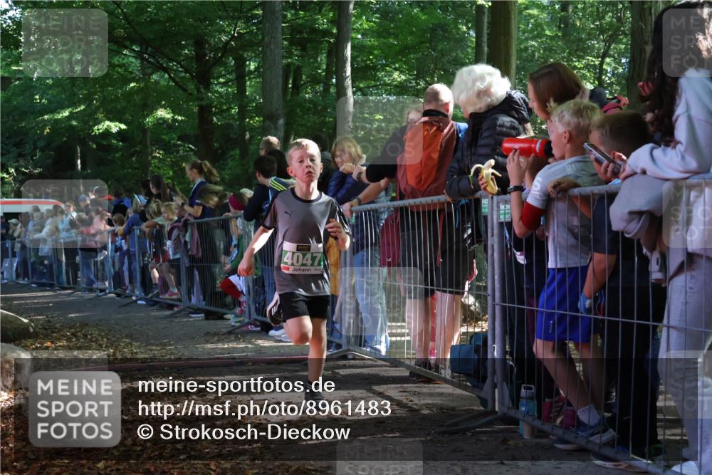 28.09.2025 - 33. Volkslauf durch das schöne Alstertal Strokosch-Dieckow http://msf.ph/oto/8961483 28.09.2025 10:55:04 Ziel 4040, 4047, 4111 meine-sportfotos.de