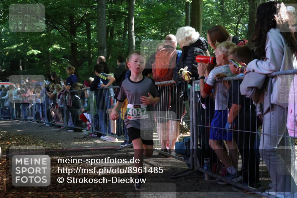 28.09.2025 - 33. Volkslauf durch das schöne Alstertal Strokosch-Dieckow http://msf.ph/oto/8961485 28.09.2025 10:55:04 Ziel 4040, 4047, 4111 meine-sportfotos.de