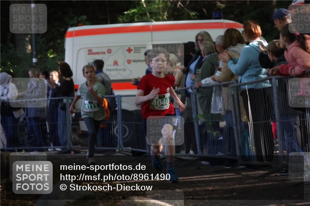 28.09.2025 - 33. Volkslauf durch das schöne Alstertal Strokosch-Dieckow http://msf.ph/oto/8961490 28.09.2025 10:55:07 Ziel 4033, 4040, 4084, 4111 meine-sportfotos.de