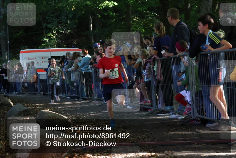 28.09.2025 - 33. Volkslauf durch das schöne Alstertal Strokosch-Dieckow http://msf.ph/oto/8961492 28.09.2025 10:55:08 Ziel 4033, 4040, 4084, 4094, 4111 meine-sportfotos.de
