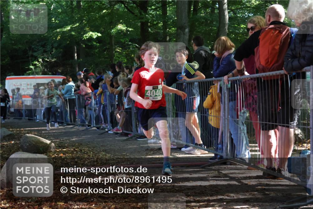 28.09.2025 - 33. Volkslauf durch das schöne Alstertal Strokosch-Dieckow http://msf.ph/oto/8961495 28.09.2025 10:55:09 Ziel 4033, 4040, 4084, 4094, 4111 meine-sportfotos.de