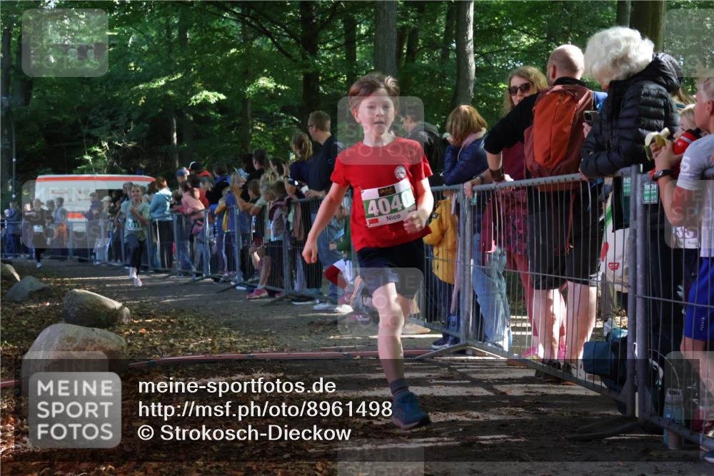 28.09.2025 - 33. Volkslauf durch das schöne Alstertal Strokosch-Dieckow http://msf.ph/oto/8961498 28.09.2025 10:55:09 Ziel 4033, 4040, 4084, 4094, 4111 meine-sportfotos.de